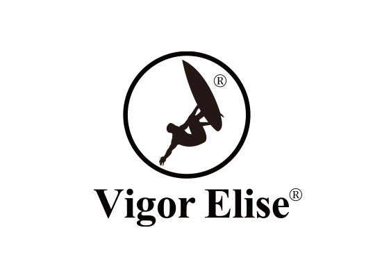 图形+VIGOR ELISE