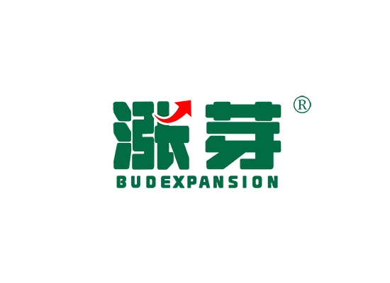 涨芽  BUD EXPANSION