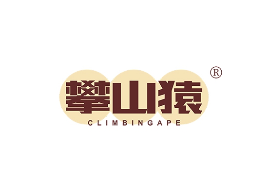 攀山猿 CLIMBING APE