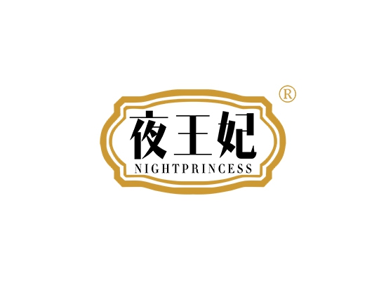 夜王妃 NIGHT PRINCESS